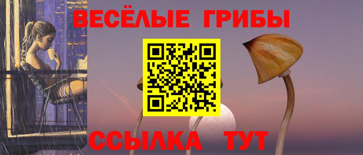 Псилоцибиновые грибы мухоморы  Вход с VPN  цена   Долгопрудный 